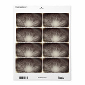 VERZENDLABEL STIJL EN ONTWERP (Full Sheet)