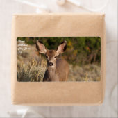 Verzendlabel voor dealer (Insitu)