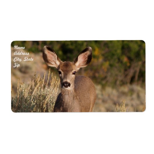 Verzendlabel voor dealer (Voorkant)