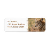 Verzendlabel voor retouradres van coyote etiket (Voorkant)