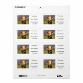 Verzendlabels koe etiket (Full Sheet)