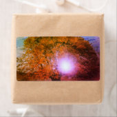 VERZENDLABELS STIJL EN ONTWERP ETIKET (Insitu)