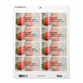 Verzendlabels voor aardbeien etiket (Full Sheet)