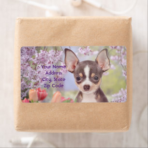 Verzendlabels voor Chihuahua-honden Etiket