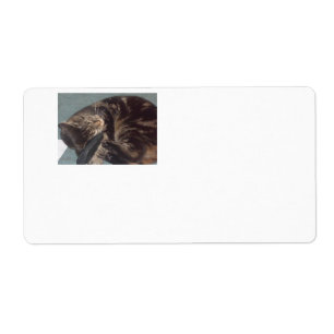 Verzendlabels voor Dave afspelen (8 op een vel) Etiket