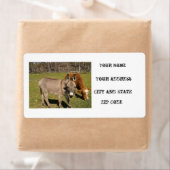 Verzendlabels voor Donkey en Koe Etiket (Insitu)