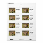 Verzendlabels voor Donkey en Koe Etiket (Full Sheet)