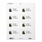 Verzendlabels voor paardachtigen etiket (Full Sheet)