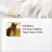 Verzendlabels voor zwerfpaarden etiket (Insitu)
