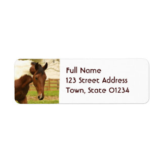 Verzendlabels voor zwerfpaarden etiket