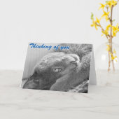 Verzilver het Wenskaart van de Kat Kaart (Gele Bloem)