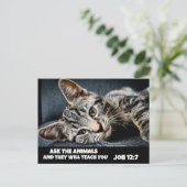VERZOEK DE DIEREN DE KAT VAN DE TABBY KAT BIBLE Br Briefkaart (Staand voorkant)