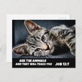 VERZOEK DE DIEREN DE KAT VAN DE TABBY KAT BIBLE Br Briefkaart (Voorkant / Achterkant)