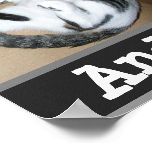 Verzogen en trots poster (Hoek)