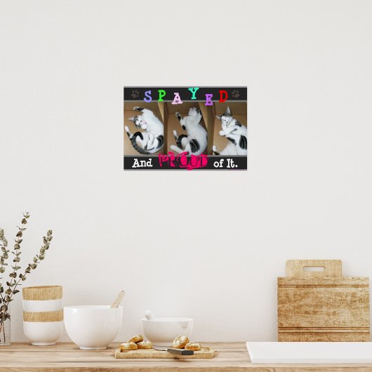 Verzogen en trots poster (Keuken)