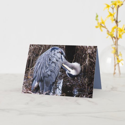Verzorgende Reiger Kaart (Gele Bloem)