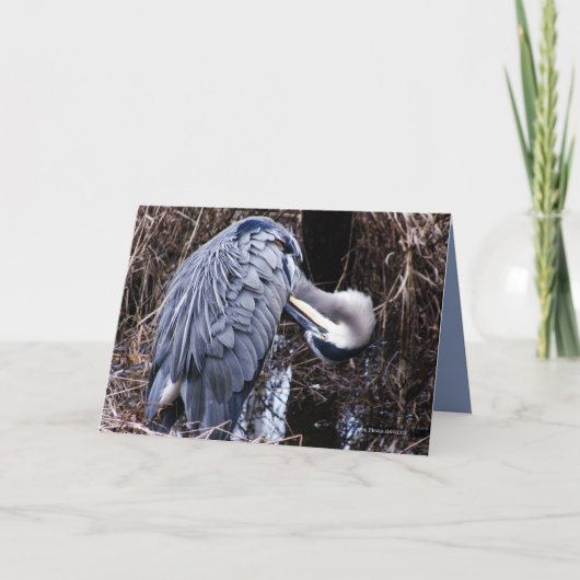 Verzorgende Reiger Kaart (Voorkant)