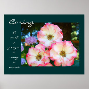 Verzorgende Roos Genezende Aanraking Cadeaus Een V Poster
