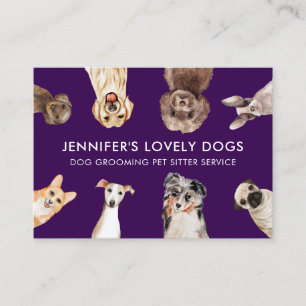 Verzorgingsbezoek voor oudere honden visitekaartje