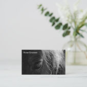 verzorgingspaard visitekaartje (Staand voorkant)