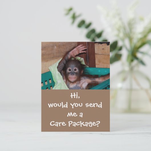 Verzorgingspakket voor wilde dieren briefkaart (Staand voorkant)