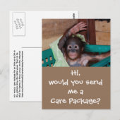 Verzorgingspakket voor wilde dieren briefkaart (Voorkant / Achterkant)