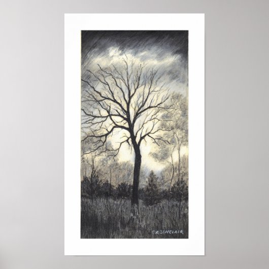 VERZWAKING VAN HET STORM DOOR CR SINCLAIR POSTER (Voorkant)