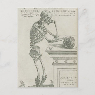 Vesalius Skelet Afbeelding Briefkaart