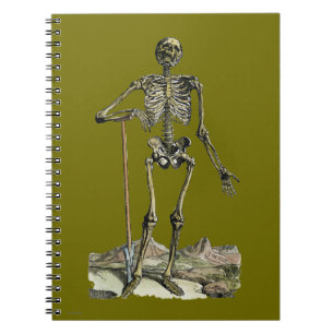 Vesalius: Skeletspierstelsel- en Notitieboek