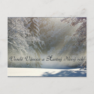 Veselé Vánoce a Šťastný Nový rok! Postkaart