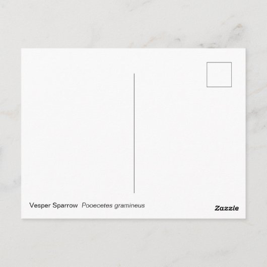Vesper Sparrow Briefkaart (Achterkant)