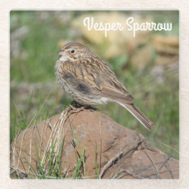 Vesper Sparrow Glazen Onderzetter
