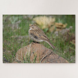 Vesper Sparrow Legpuzzel