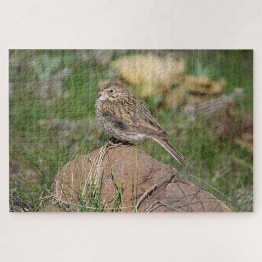 Vesper Sparrow Legpuzzel (Horizontaal)