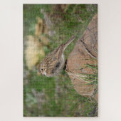 Vesper Sparrow Legpuzzel (Verticaal)