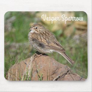 Vesper Sparrow Muismat
