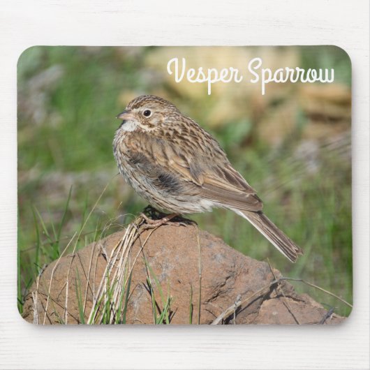Vesper Sparrow Muismat (Voorkant)
