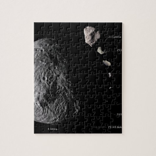 Vesta- en Asteroïdgalerie Legpuzzel (Verticaal)