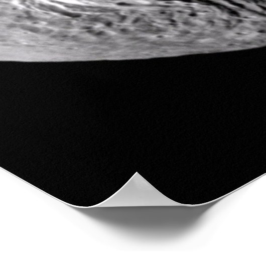 Vesta- en Asteroïdgalerie Poster (Hoek)