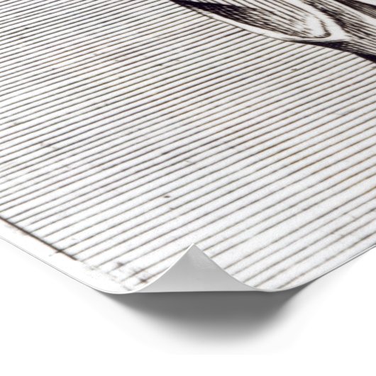 Vestal Virgin, c.1653 Poster (Hoek)