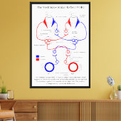 Vestibulo Oculair reflex VOR Oogbeweging stabilise Canvas Afdruk (Insitu (Woonkamer))