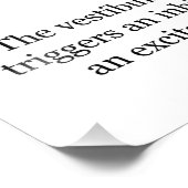 Vestibulo Oculair reflex VOR Oogbeweging stabilise Foto Afdruk (Hoek)