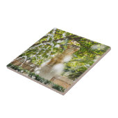 Vestigingsplaats Almudaina Gardens - Palma de Mall Tegeltje (Zijkant)