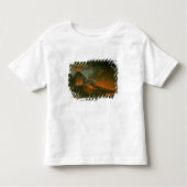 Vesuvius Erupting Kinder Shirts (Voorkant)