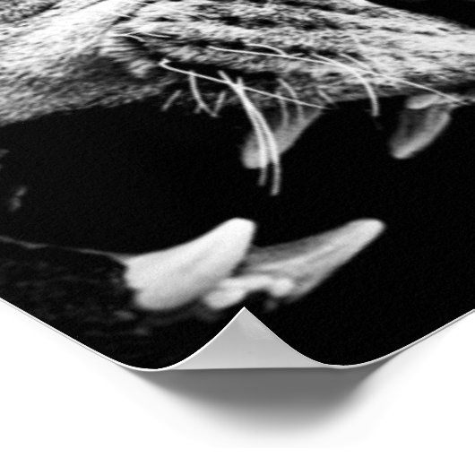 Vet als leeuw poster (Hoek)