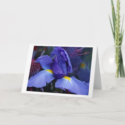 Vet Blauw Iris Note Kaart sets (Voorkant)
