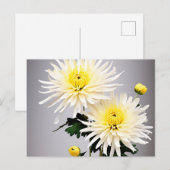 Vet chrysant Abstract Briefkaart (Voorkant / Achterkant)