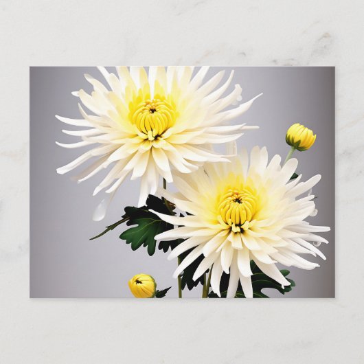 Vet chrysant Abstract Briefkaart (Voorkant)