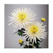 Vet chrysant Abstract Tegeltje (Voorkant)