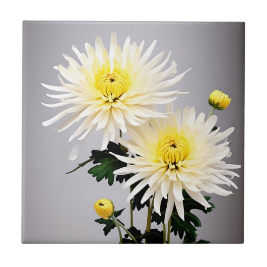 Vet chrysant Abstract Tegeltje (Voorkant)
